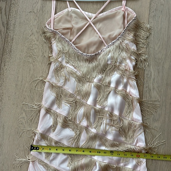 Vintage Fringe Flapper Girl Dress - Picture 11 of 14